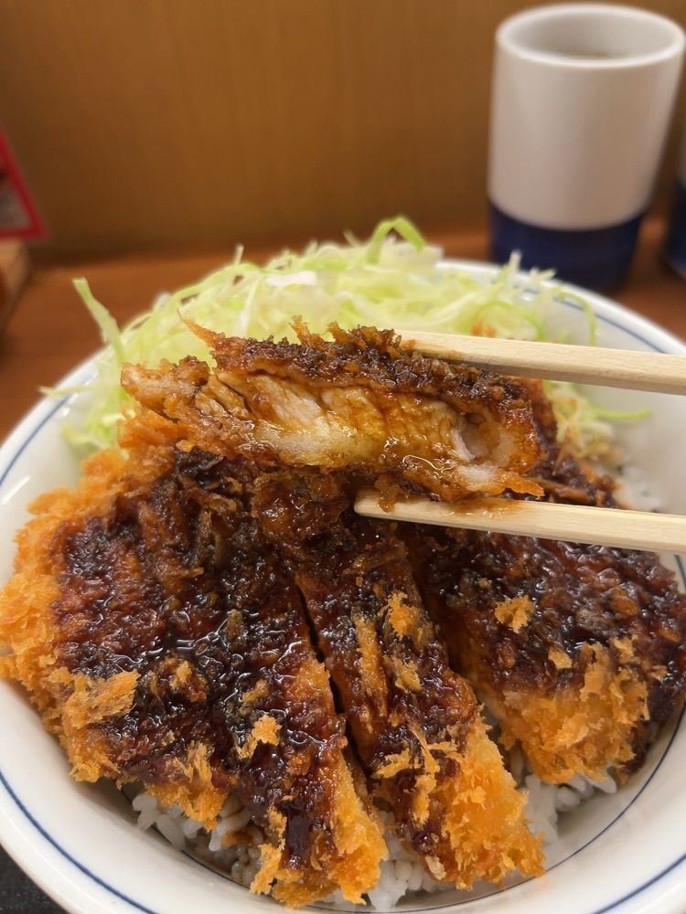 【東京近郊】居酒屋勝手にレビューさんが投稿したかつや 秋葉原中央改札口店に関する口コミの画像