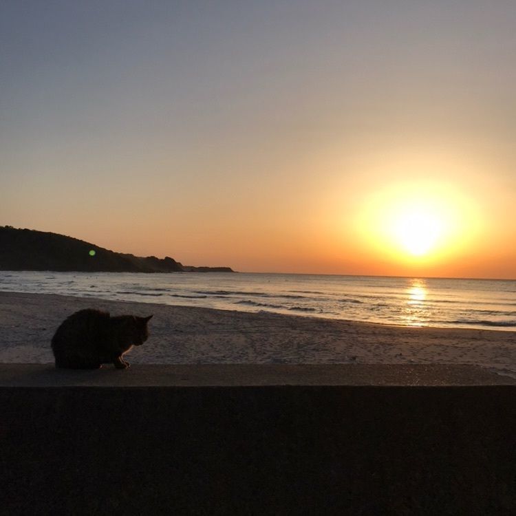 KAZUさんが投稿した夏泊海岸に関する口コミの画像