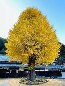 弘誓寺