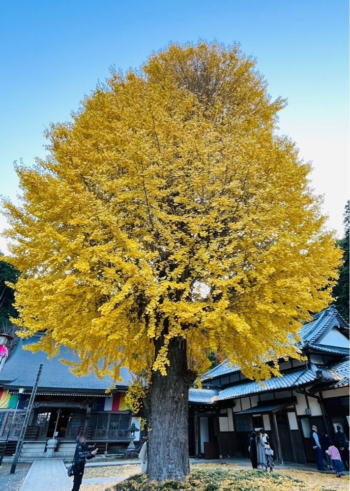 ゆうさんが投稿した弘誓寺に関する口コミの画像
