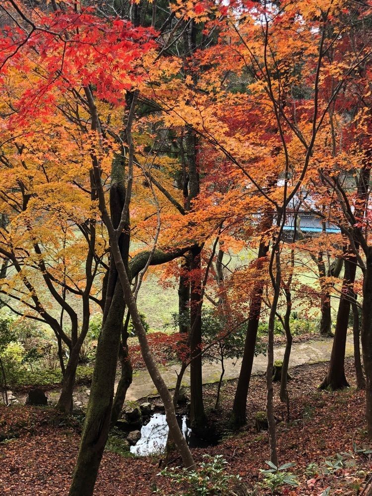 nicanさんが投稿した石道寺に関する口コミの画像