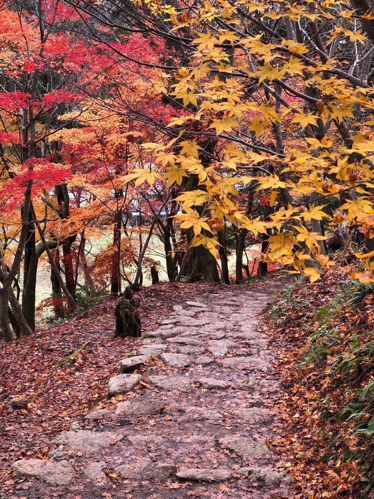 nicanさんが投稿した石道寺に関する口コミの画像