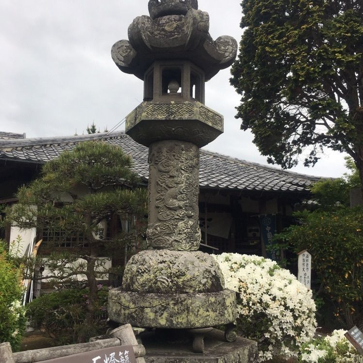 Mさんが投稿した円政寺に関する口コミの画像