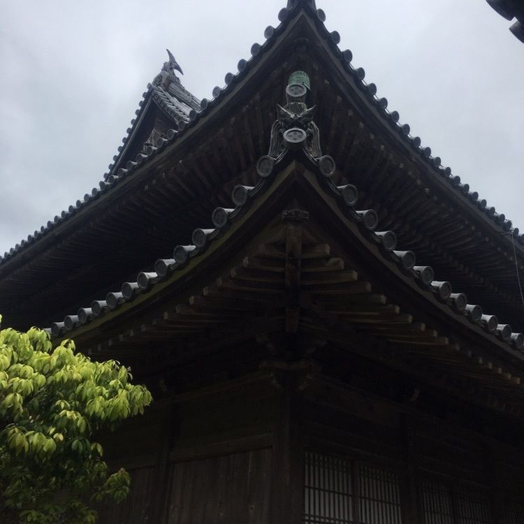 Mさんが投稿した東光寺に関する口コミの画像