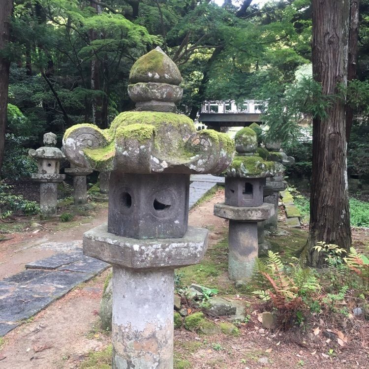 Mさんが投稿した東光寺に関する口コミの画像