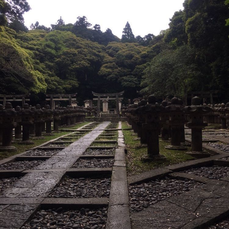 Mさんが投稿した東光寺に関する口コミの画像