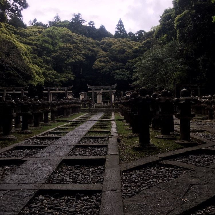Mさんが投稿した東光寺に関する口コミの画像
