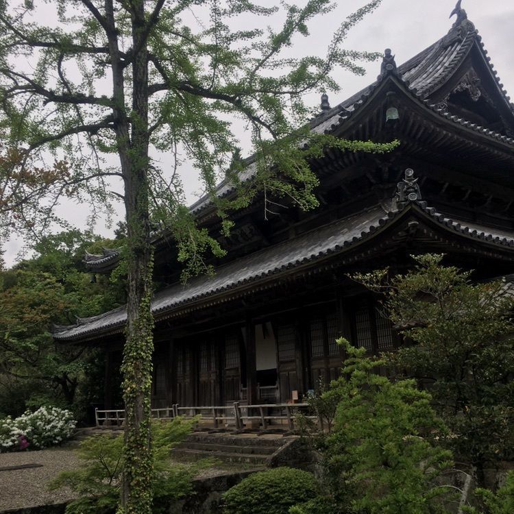 Mさんが投稿した萩藩主毛利家墓所（東光寺墓所）に関する口コミの画像