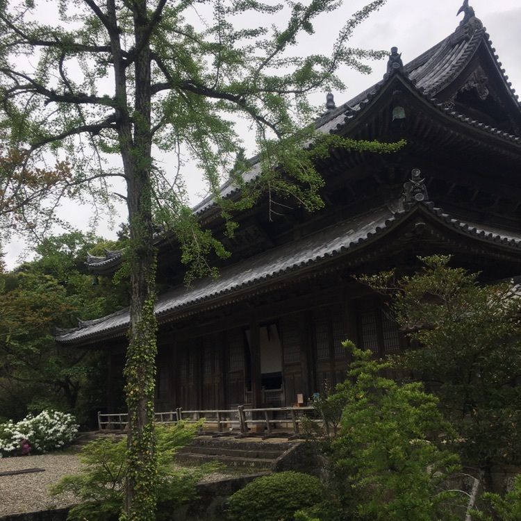 Mさんが投稿した萩藩主毛利家墓所（東光寺墓所）に関する口コミの画像