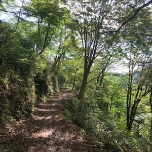 鳥居観音
