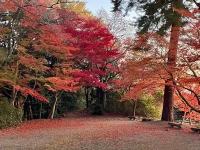 胡宮神社