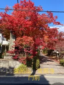 常照寺