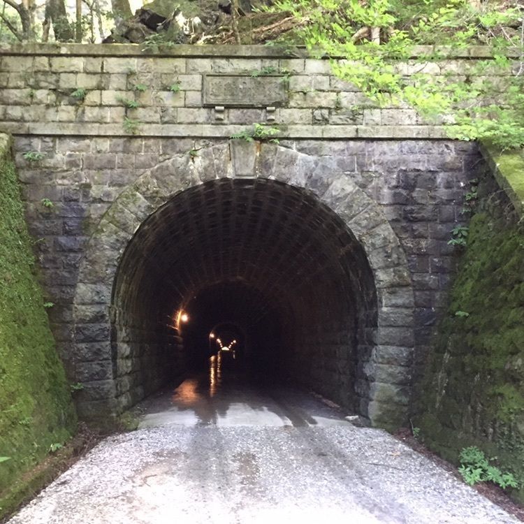 yukieさんが投稿した天城山隧道（通称：旧天城トンネル）に関する口コミの画像