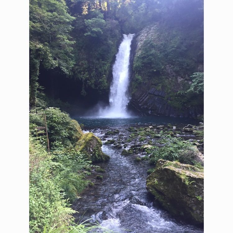 yukieさんが投稿した天城山隧道（通称：旧天城トンネル）に関する口コミの画像