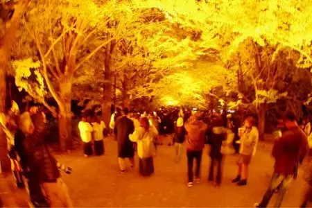 らーめん鉄人（昭和記念公園レイクサイドレストラン併設）