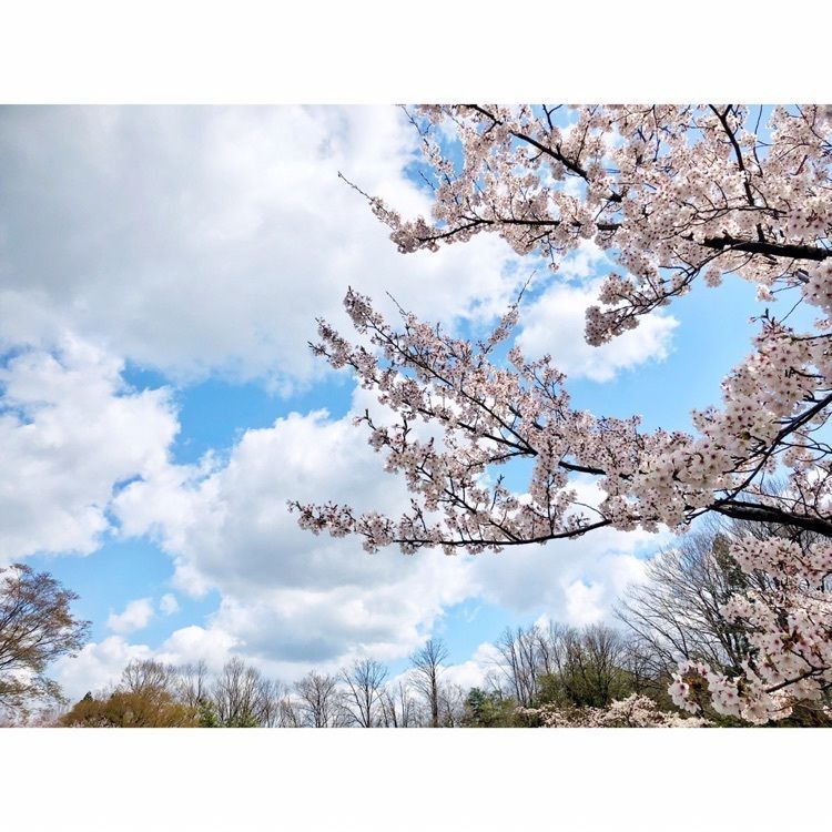 neco-meさんが投稿した辰口丘陵公園に関する口コミの画像
