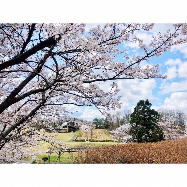 neco-meさんが投稿した辰口丘陵公園に関する口コミの画像