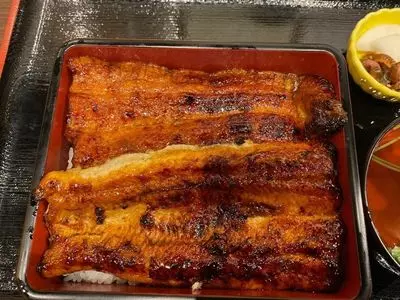 有楽町 うなぎのお宿