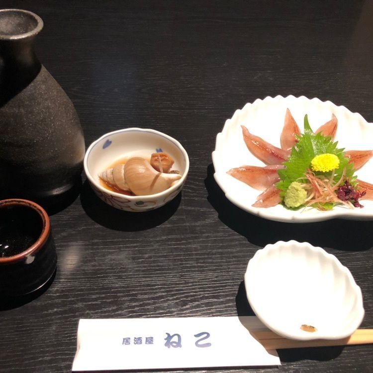 タッキーさんが投稿したねこに関する口コミの画像