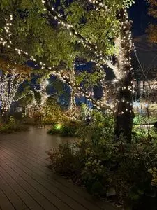 おもはらの森 東急プラザ表参道原宿