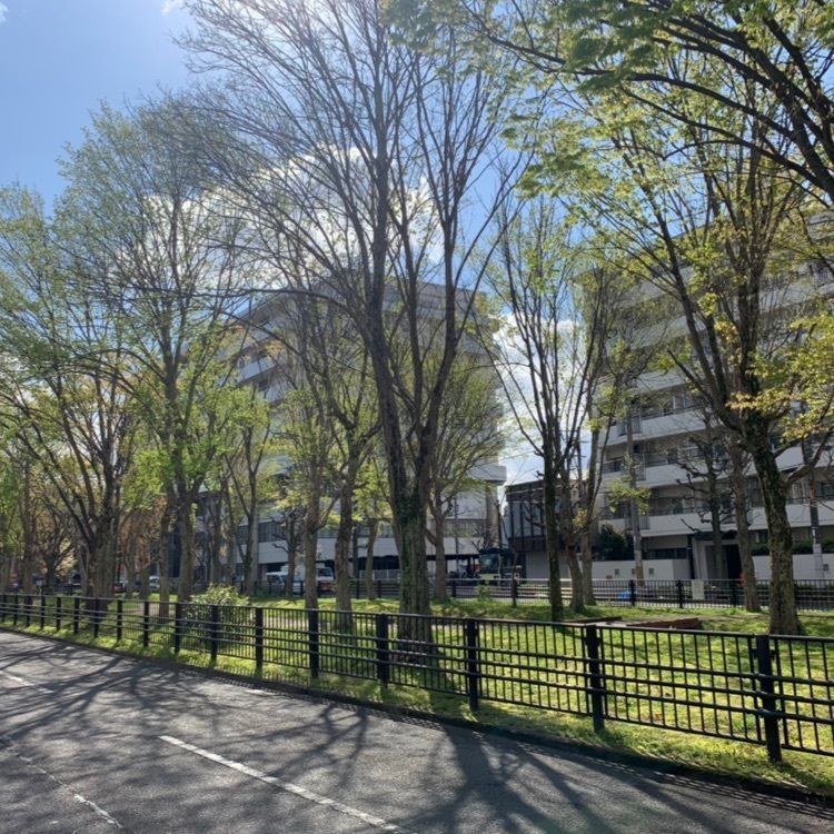 KENさんが投稿した京都北の隠れ宿　笑－ｅｍｉ－に関する口コミの画像