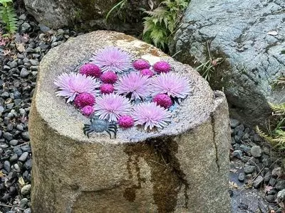 一条恵観山荘