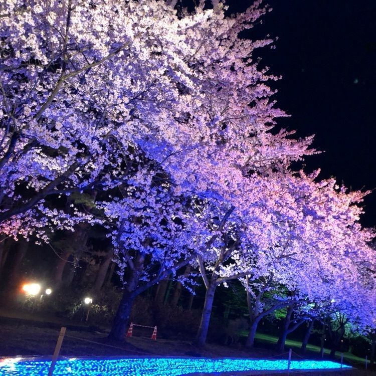 たかぶさんが投稿した雄物川中央公園に関する口コミの画像