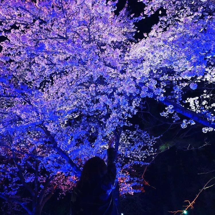 たかぶさんが投稿した雄物川中央公園に関する口コミの画像