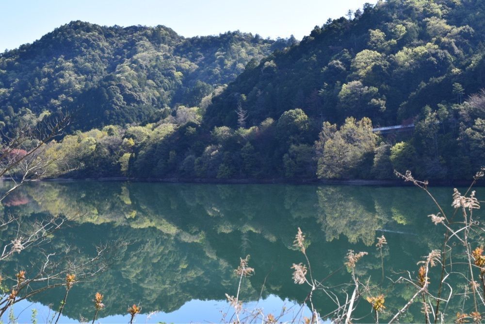 佳さんが投稿した滝畑ダムに関する口コミの画像