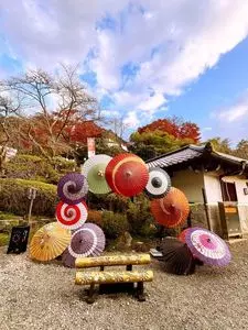 岡寺本堂