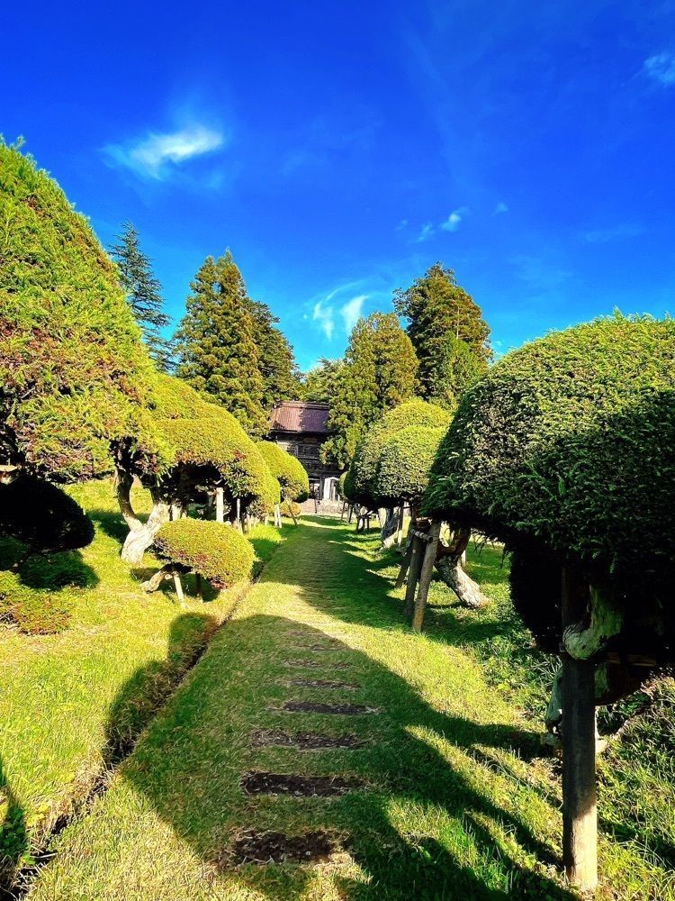 猫なぎ。さんが投稿した總光寺に関する口コミの画像