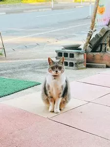 お休み処zuisin門（ズイシンモン）