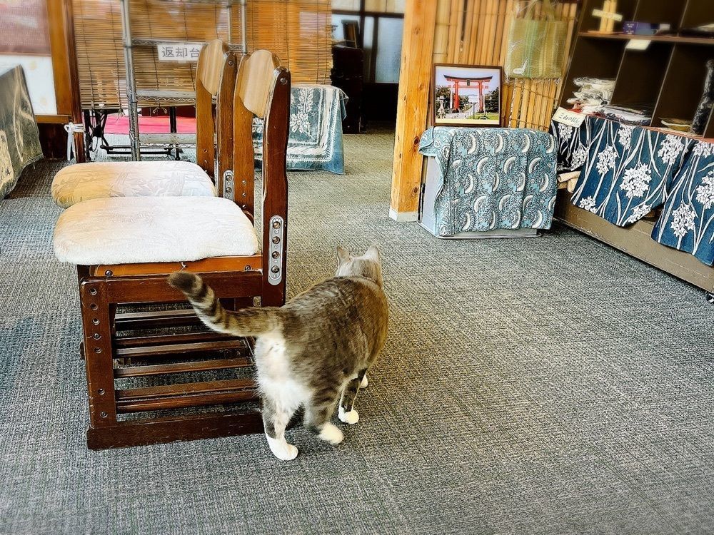 猫なぎ。さんが投稿したお休み処zuisin門（ズイシンモン）に関する口コミの画像