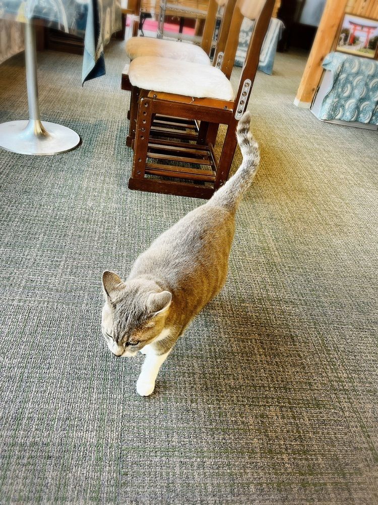 猫なぎ。さんが投稿したお休み処zuisin門（ズイシンモン）に関する口コミの画像