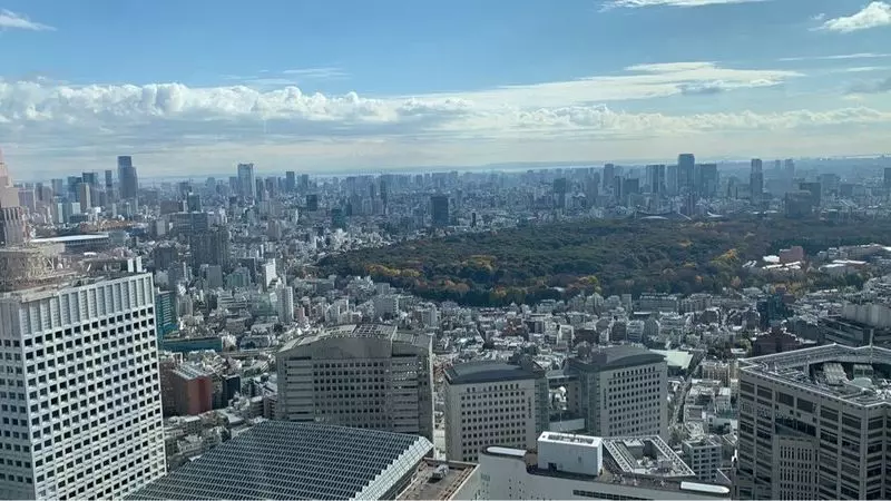 14. 【屋内】東京都庁舎展望室｜遠くの富士山まで一望できる 1枚目