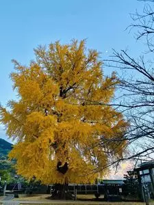 丹生酒殿神社