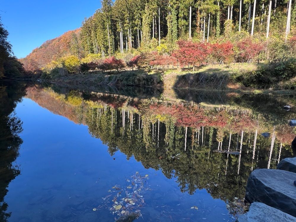 ビンカさんが投稿した嵐山渓谷バーベキュー場に関する口コミの画像