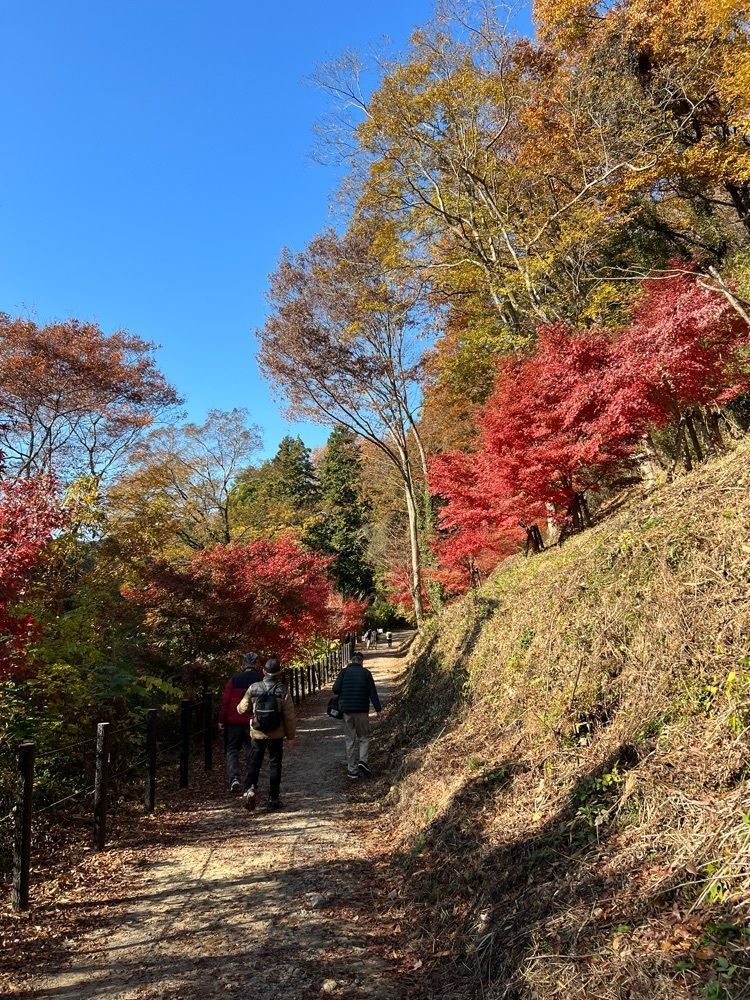 ビンカさんが投稿した嵐山渓谷バーベキュー場に関する口コミの画像
