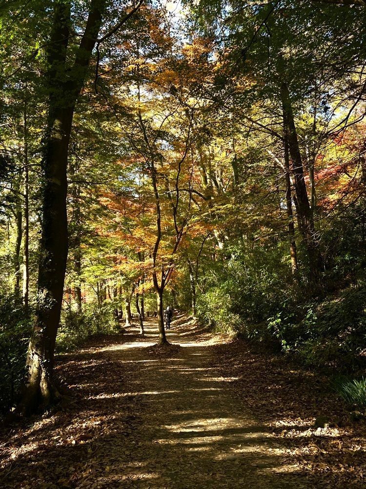 ビンカさんが投稿した嵐山渓谷バーベキュー場に関する口コミの画像