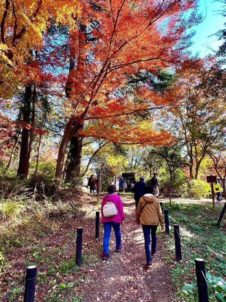 ビンカさんが投稿した月川荘キャンプ場に関する口コミの画像