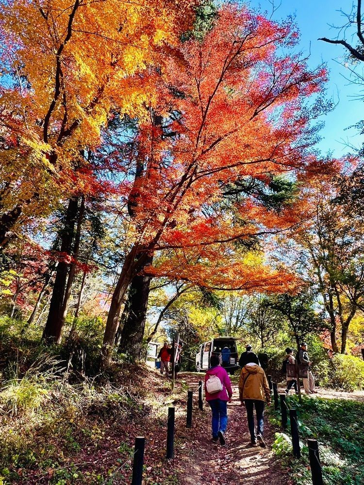 ビンカさんが投稿した月川荘キャンプ場に関する口コミの画像