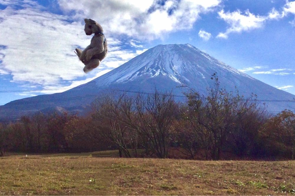 池田モコさんが投稿した富士河口湖町に関する口コミの画像