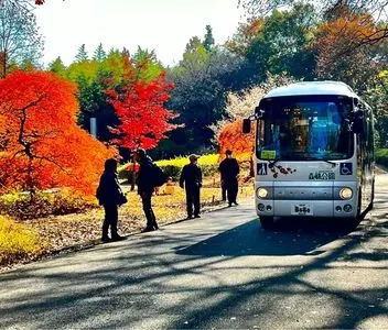 国営武蔵丘陵森林公園 中央レストラン