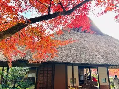 九年庵秋の一般公開