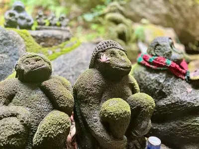 仁比山神社の桜