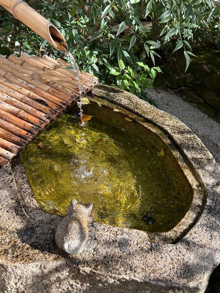 himbaさんが投稿した盛光院（じょうこういん）に関する口コミの画像