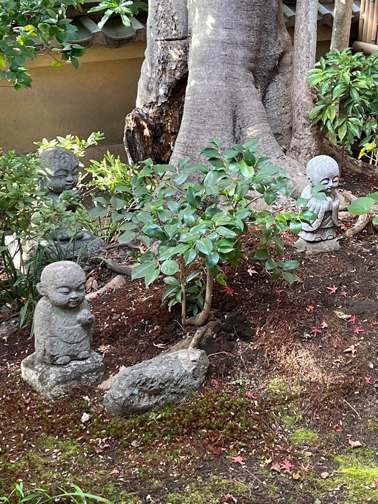 himbaさんが投稿した盛光院（じょうこういん）に関する口コミの画像