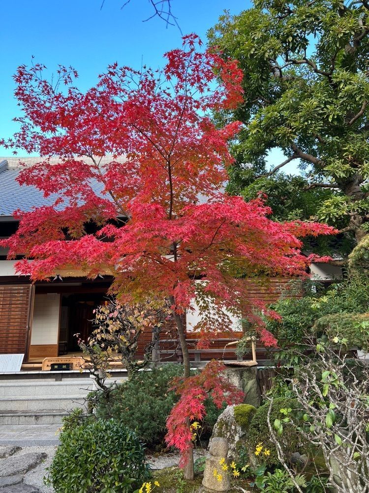 himbaさんが投稿した盛光院（じょうこういん）に関する口コミの画像