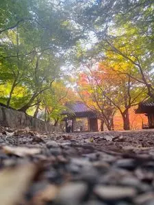 丈六寺