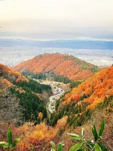 若松寺